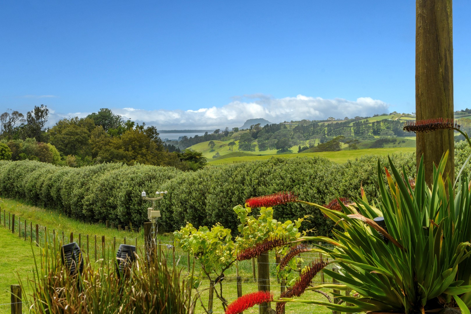 Lifestyle blocks For Sale in Whakamarama, Western Bay of Plenty, Bay Of