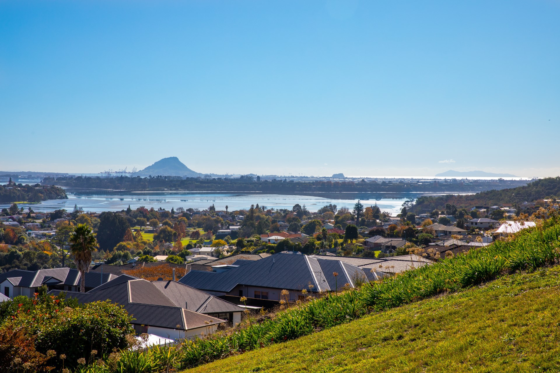 Land/Sections For Sale in Bay, Tauranga, Bay Of Plenty For