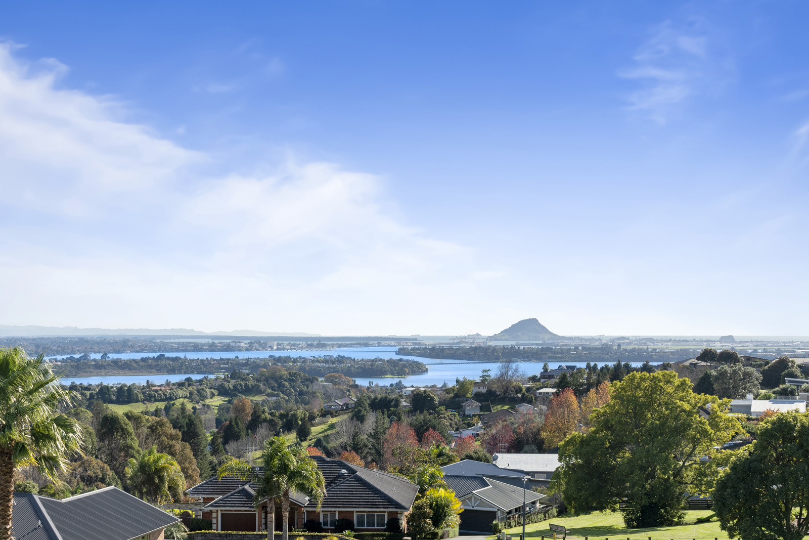 Land/Sections For Sale in Bay, Tauranga, Bay Of Plenty For Bay Of Plenty Real Estate