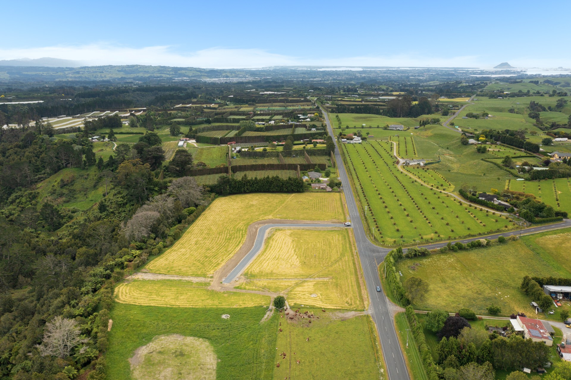 Land/Sections For Sale in Oropi, Tauranga, Bay Of Plenty For Bay Of