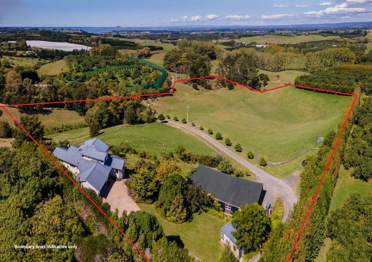 Lifestyle blocks For Sale in Katikati, Western Bay of Plenty, Bay Of