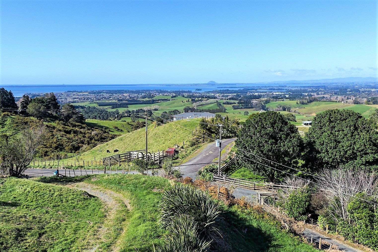 Land/Sections For Sale in Katikati, Western Bay of Plenty, Bay Of
