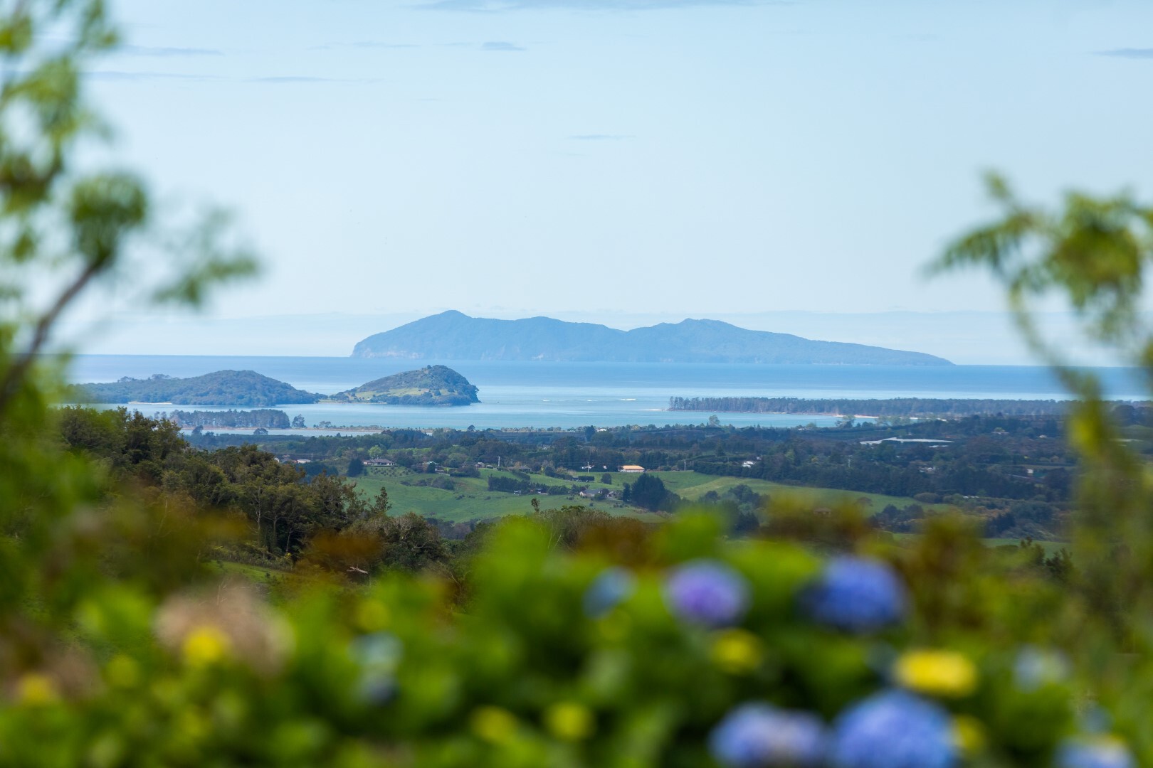 Land/Sections For Sale in Katikati, Western Bay of Plenty, Bay Of