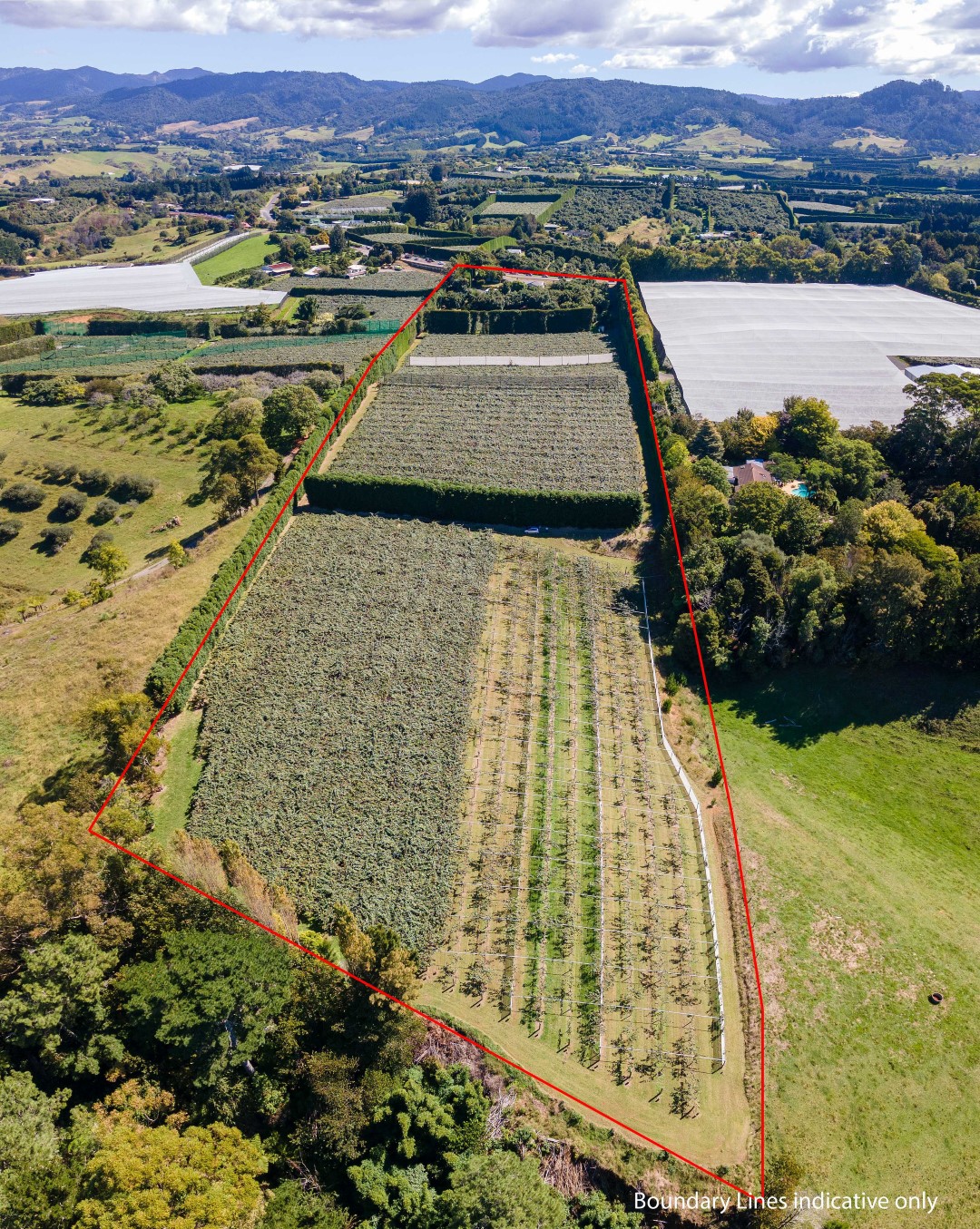 Property For Sale in Katikati, Western Bay of Plenty, Bay Of Plenty