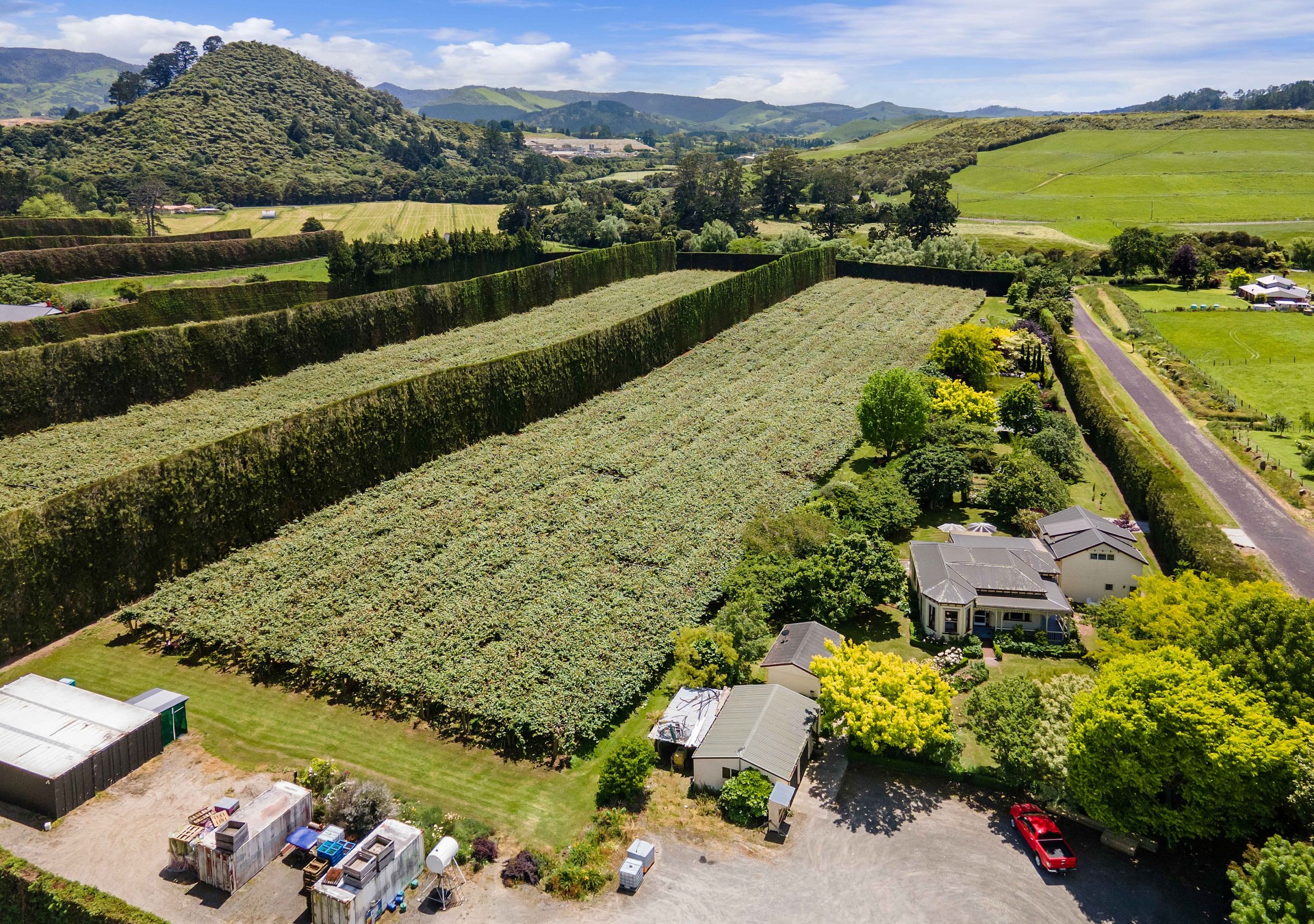 Property For Sale in Waihi, Hauraki, Waikato For Waikato Real Estate, Choose Eves