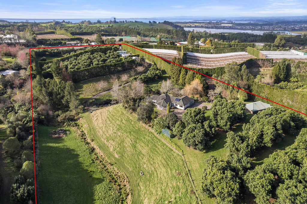 Lifestyle blocks For Sale in Katikati, Western Bay of Plenty, Bay Of