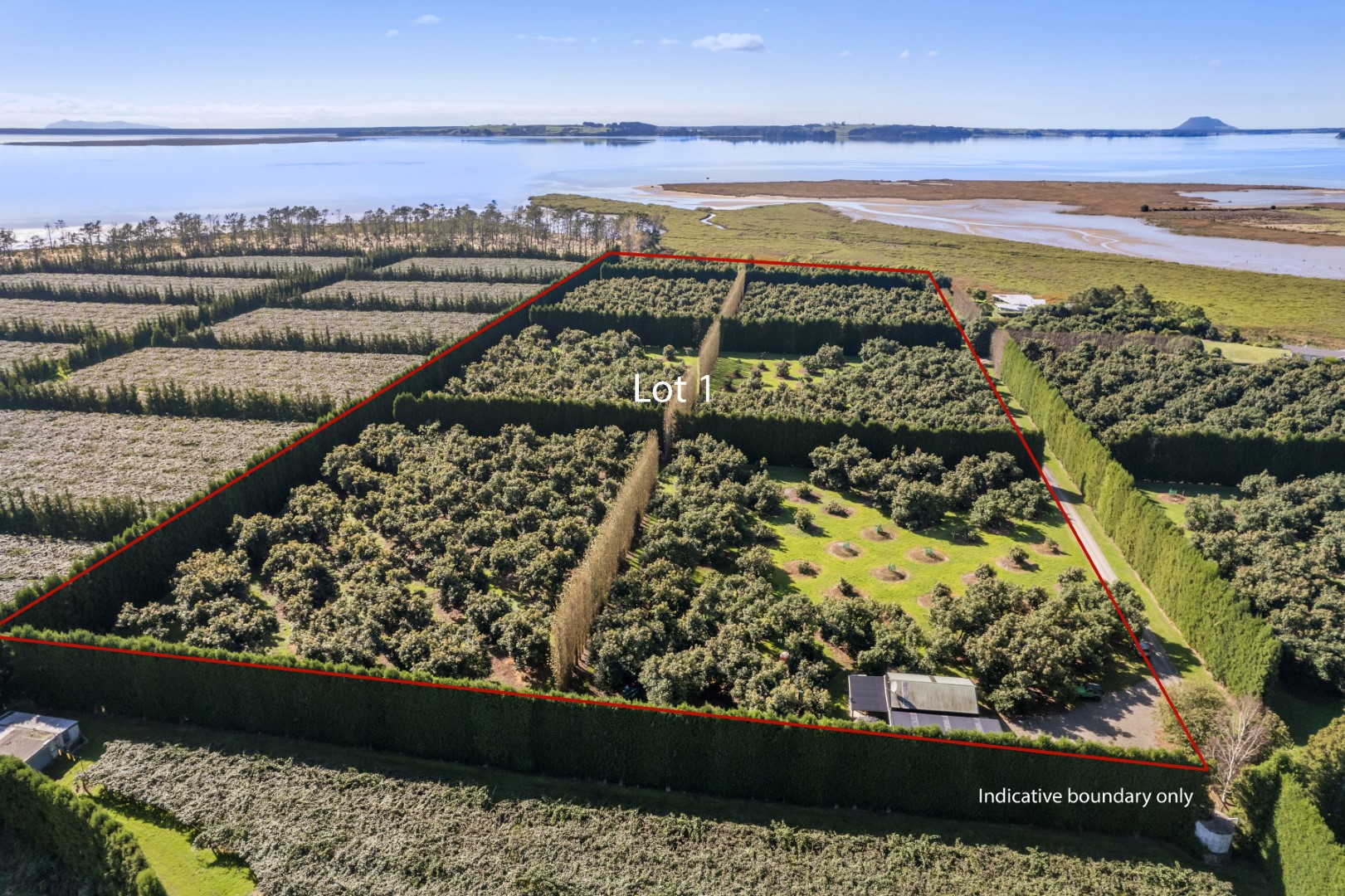 Property For Sale in Katikati, Western Bay of Plenty, Bay Of Plenty