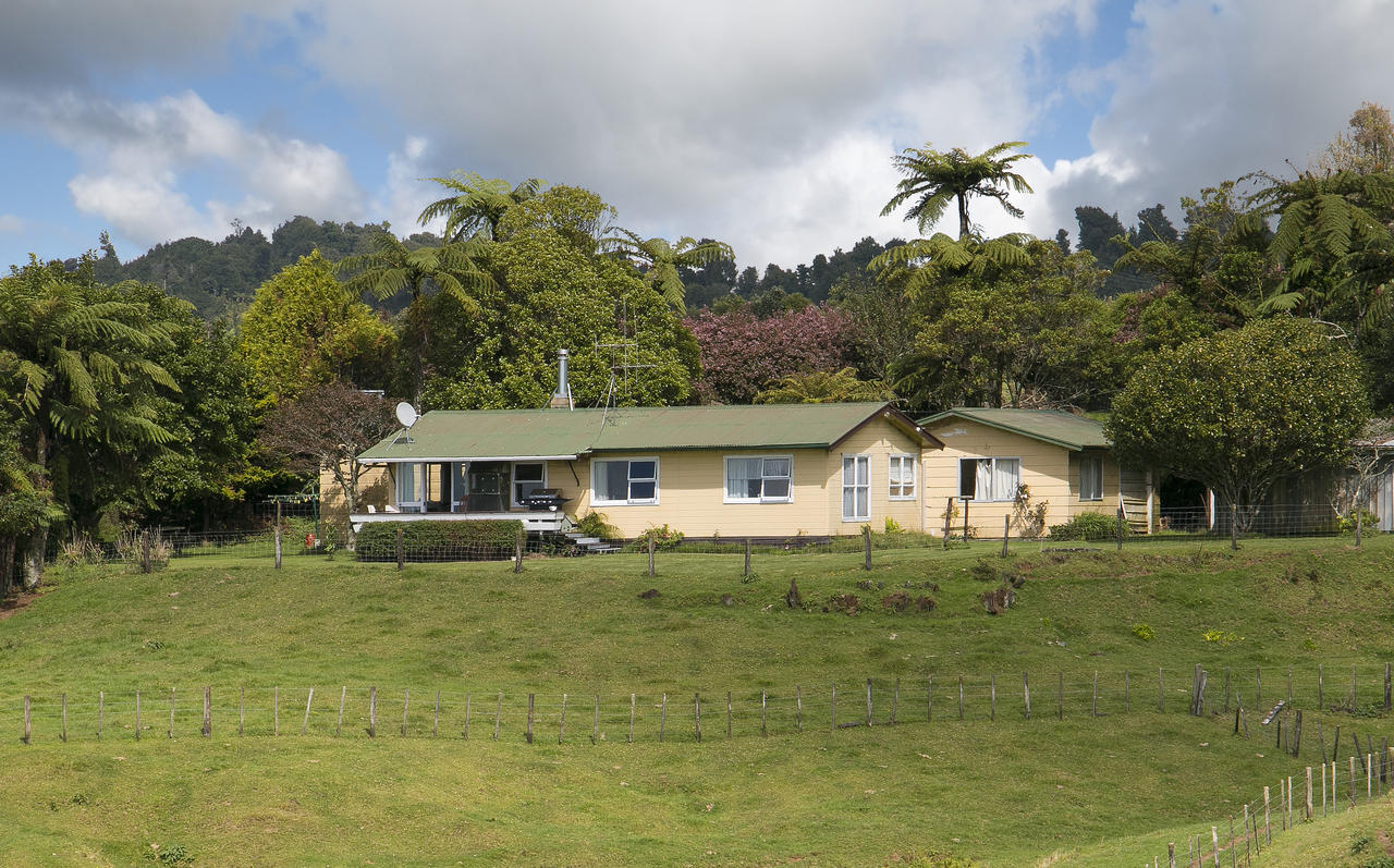 Lifestyle blocks For Sale in Whakamarama, Western Bay of Plenty, Bay Of
