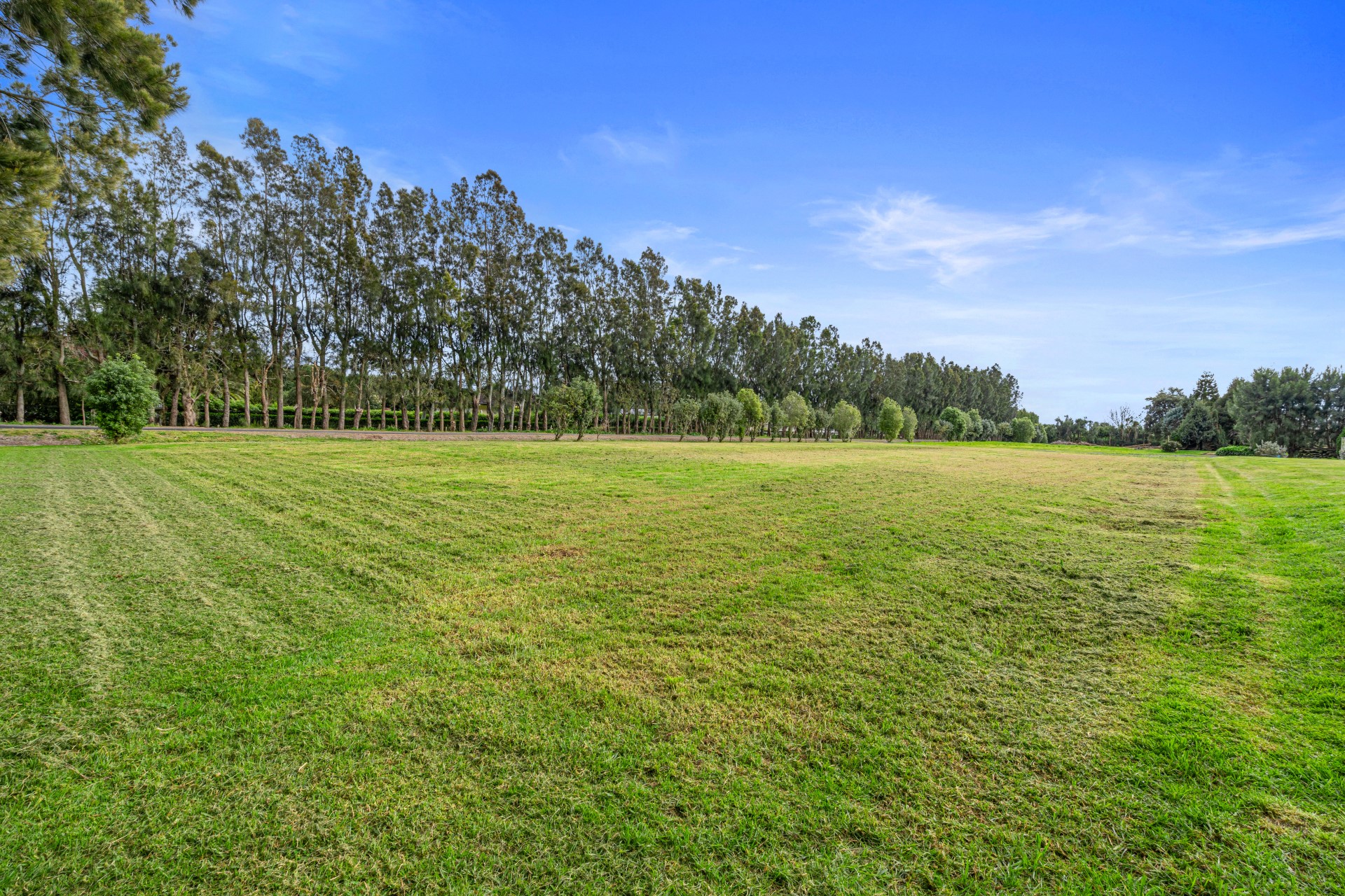 Land/Sections For Sale in Papamoa, Bay Of Plenty For Bay Of Plenty