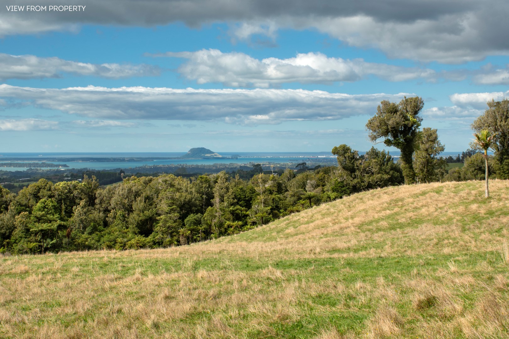 Land/Sections For Sale in Whakamarama, Western Bay of Plenty, Bay Of