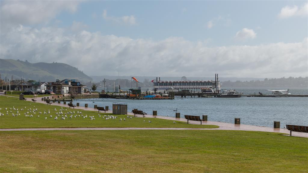 For Rent in Rotorua 2 Bedrooms, 1 Bathroom, Rental For Rent at 1102