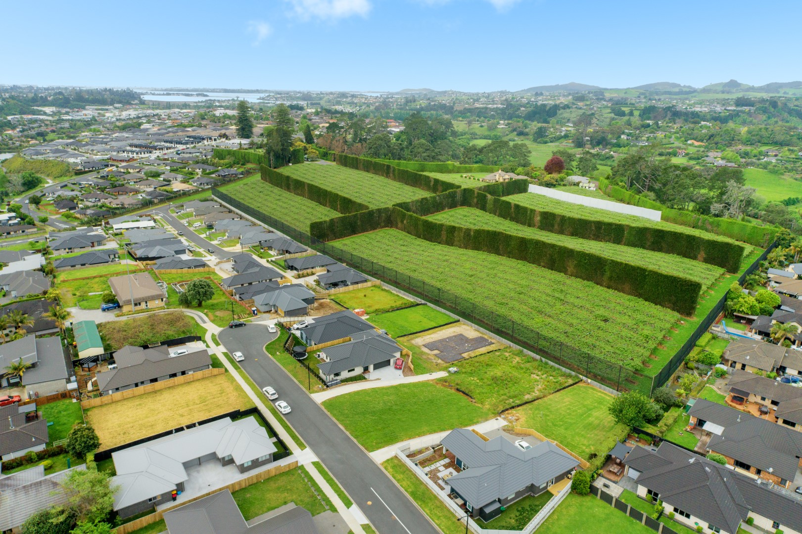 Land/Sections For Sale in Pyes Pa, Tauranga, Bay Of Plenty For Bay Of