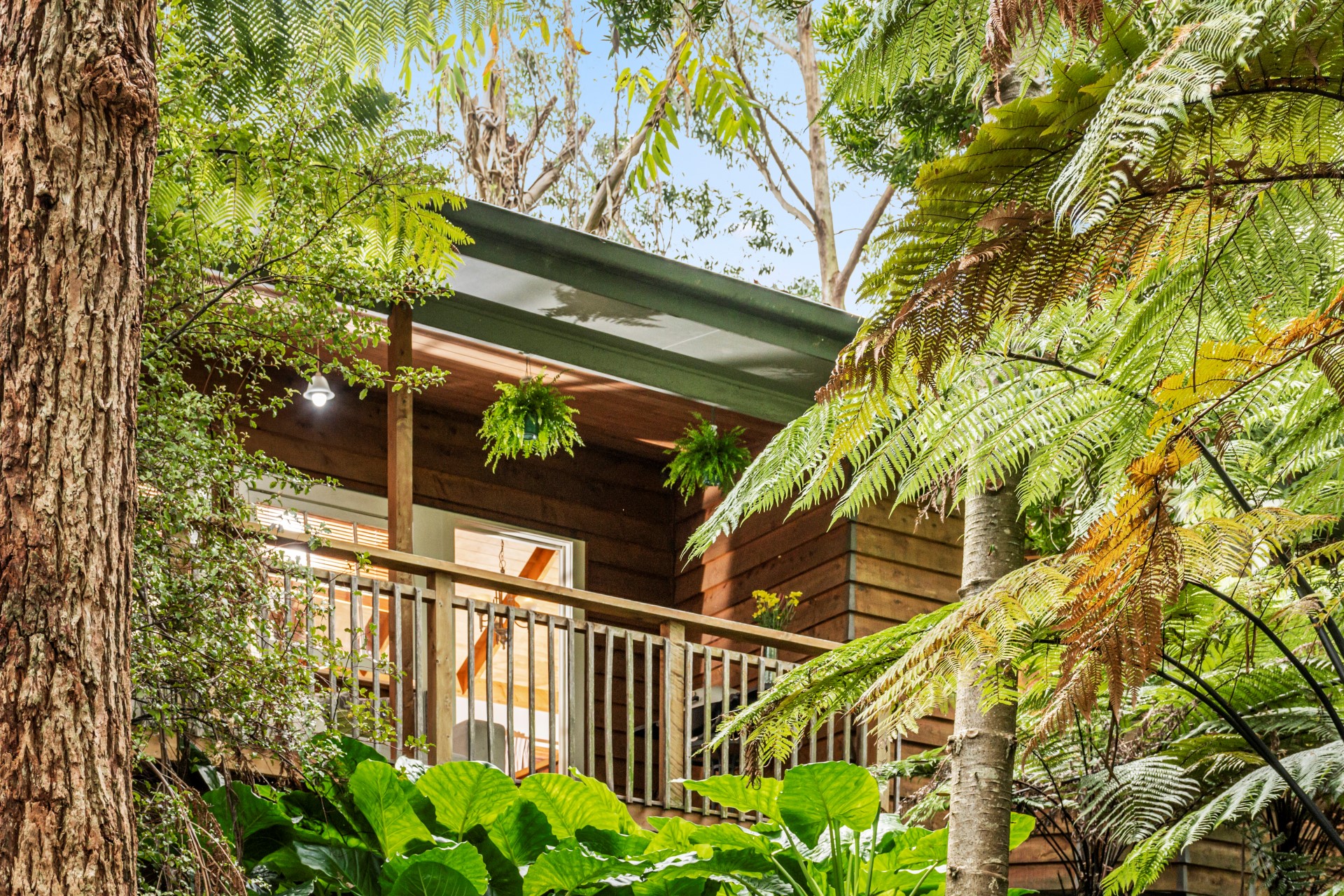 Lifestyle blocks For Sale in Te Puna, Western Bay of Plenty, Bay Of