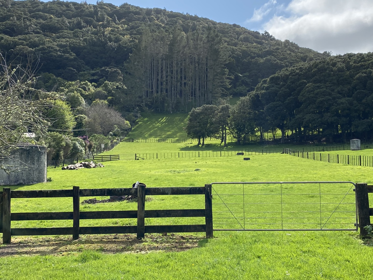 For Rent in Maungatapere 4 Bedrooms, 2 Bathrooms, Rental For Rent at