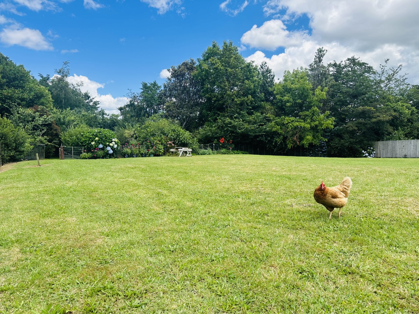 Land/Sections For Sale in Waihi, Hauraki, Waikato For Waikato Real